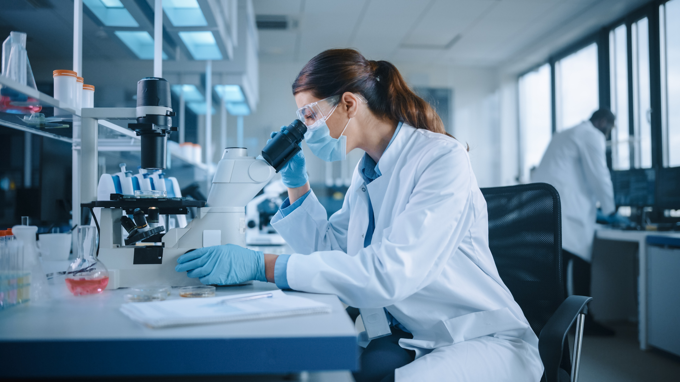 A microbiologist using a microscope for analysis and adjusting the focus